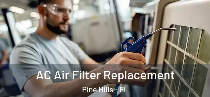 AC Air Filter Replacement Pine Hills - FL