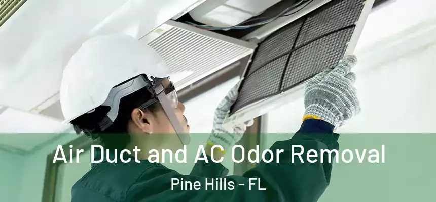 Air Duct and AC Odor Removal Pine Hills - FL