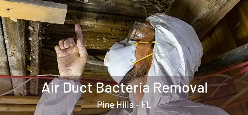 Air Duct Bacteria Removal Pine Hills - FL