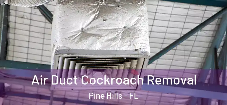  Air Duct Cockroach Removal Pine Hills - FL