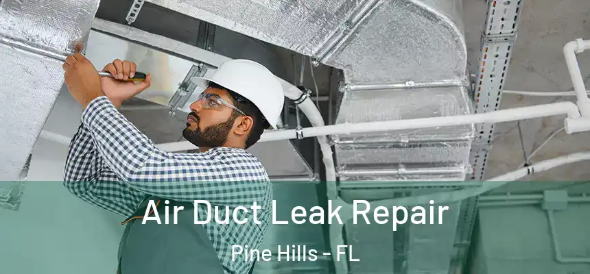 Air Duct Leak Repair Pine Hills - FL