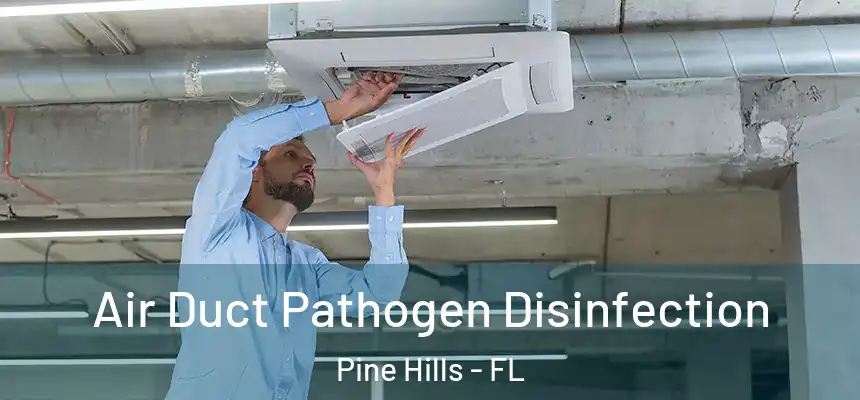  Air Duct Pathogen Disinfection Pine Hills - FL