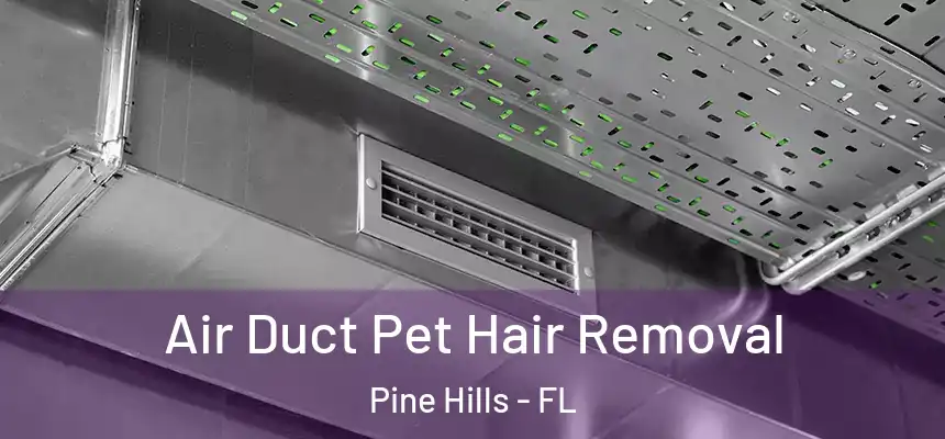 Air Duct Pet Hair Removal Pine Hills - FL