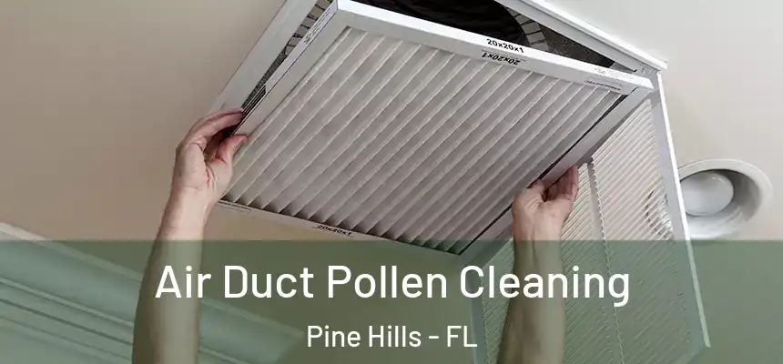  Air Duct Pollen Cleaning Pine Hills - FL