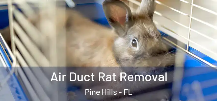 Air Duct Rat Removal Pine Hills - FL