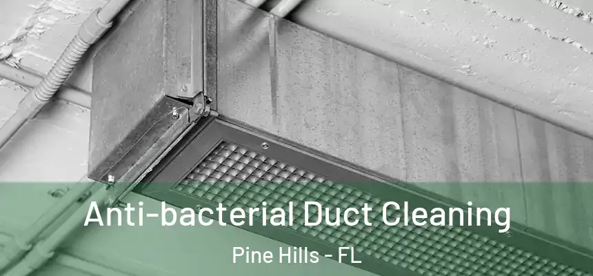 Anti-bacterial Duct Cleaning Pine Hills - FL