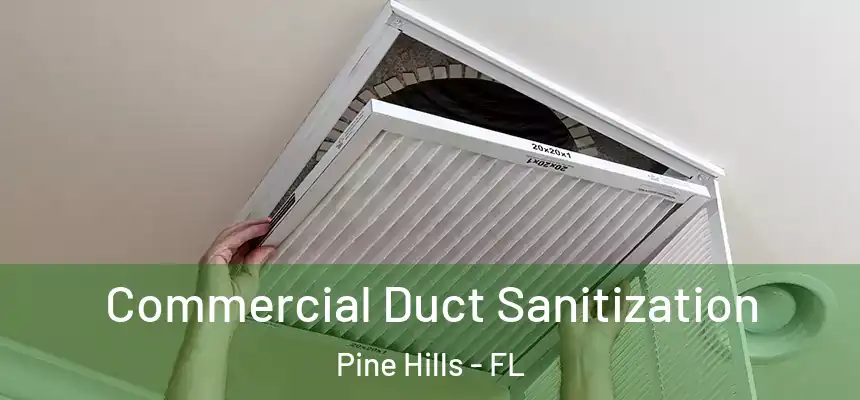 Commercial Duct Sanitization Pine Hills - FL
