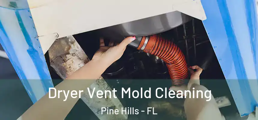 Dryer Vent Mold Cleaning Pine Hills - FL
