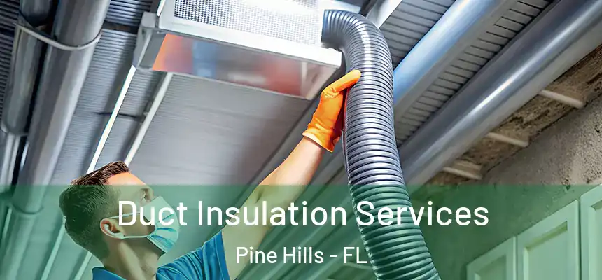 Duct Insulation Services Pine Hills - FL