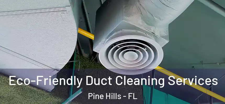  Eco-Friendly Duct Cleaning Services Pine Hills - FL