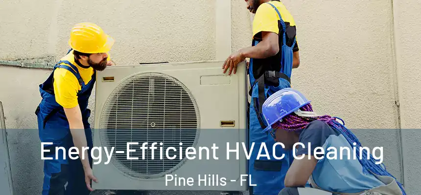 Energy-Efficient HVAC Cleaning Pine Hills - FL