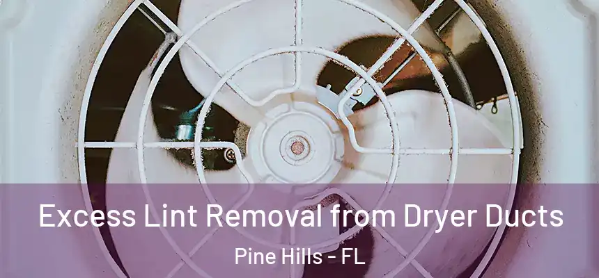 Excess Lint Removal from Dryer Ducts Pine Hills - FL