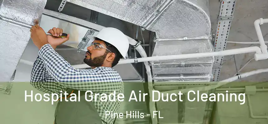 Hospital Grade Air Duct Cleaning Pine Hills - FL