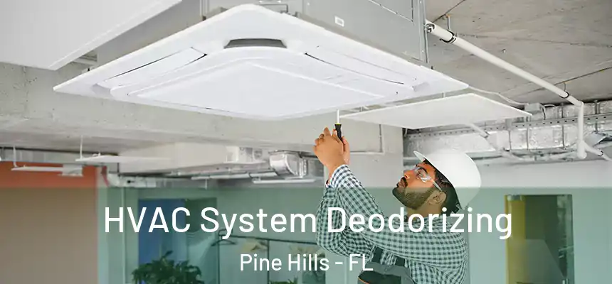 HVAC System Deodorizing Pine Hills - FL