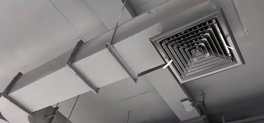 Restorative Allergy Relief Vent Cleaning – Coil, Blower & Housing Detail in Pine Hills