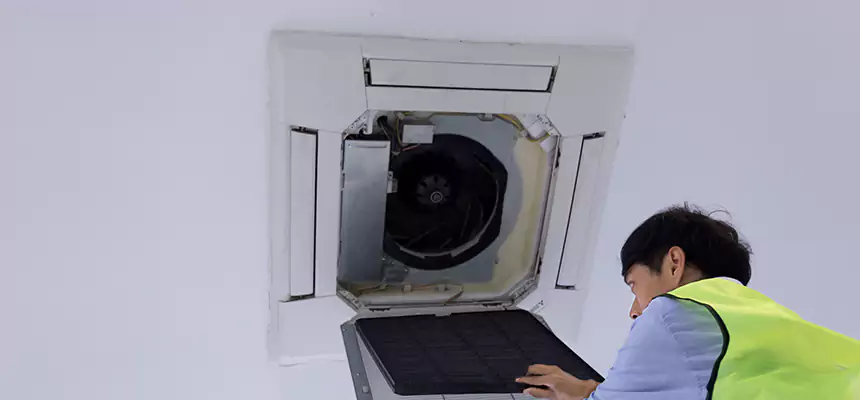 Our Dryer Vent Sanitization Service Services in Pine Hills, FL