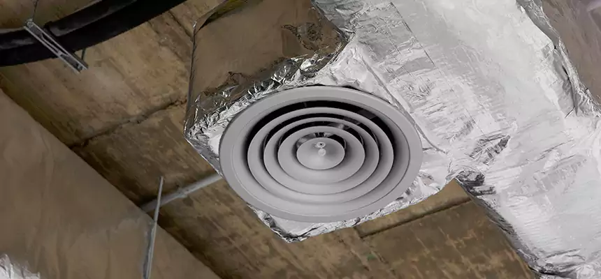 Our Excess Lint Removal from Dryer Ducts Services in Pine Hills, FL