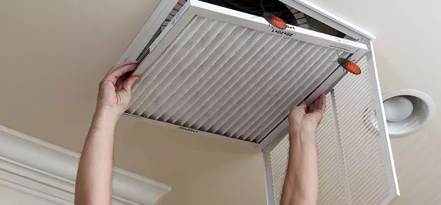 Our Insect Removal from Air Ducts Services in Pine Hills, FL