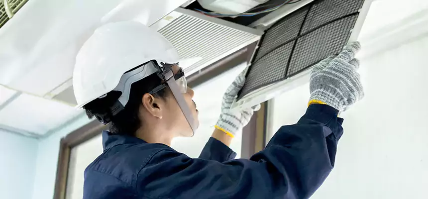 Our Mold & Mildew Removal from Air Ducts Services in Pine Hills, FL