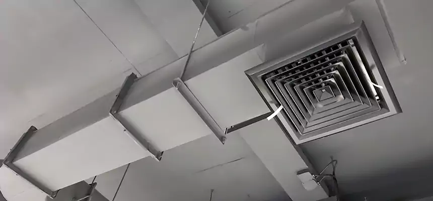 Our Pest Removal From Ducts Services in Pine Hills, FL