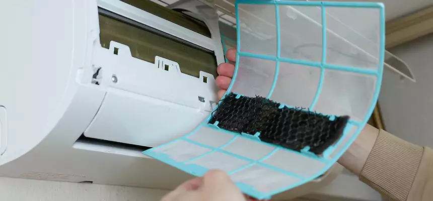 Gentle Ductwork Odor-Control Pet Dander Duct Cleaning in Pine Hills, FL