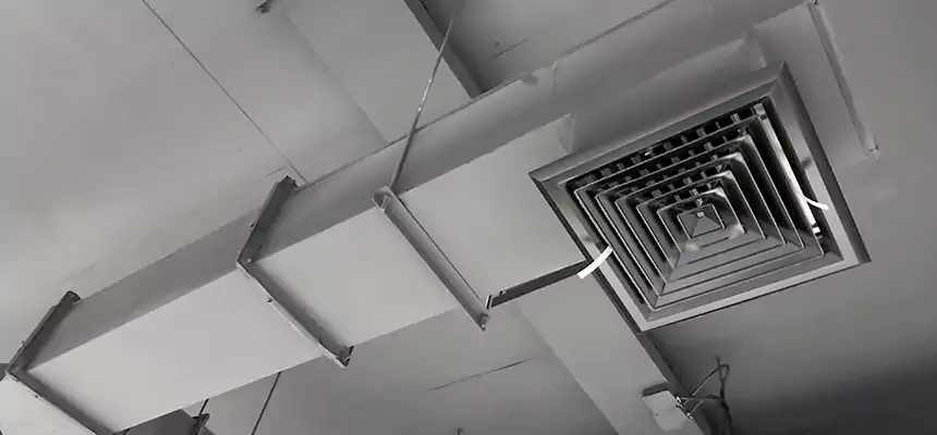 Our Rodent Droppings In Vents Services in Pine Hills, FL