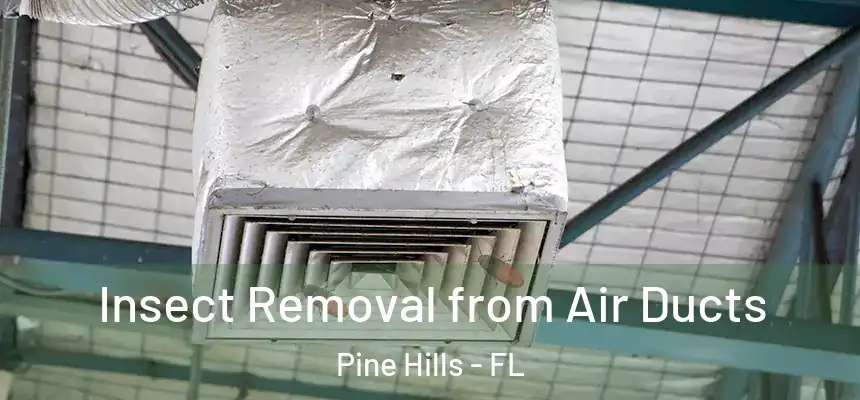  Insect Removal from Air Ducts Pine Hills - FL