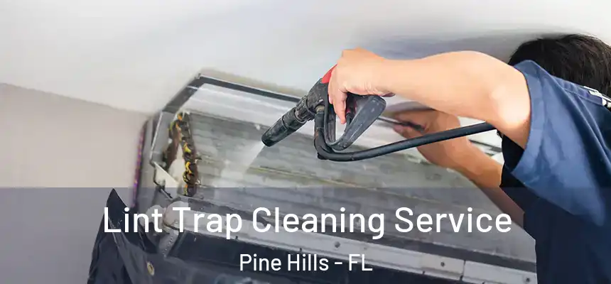 Lint Trap Cleaning Service Pine Hills - FL