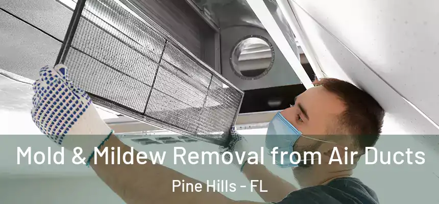  Mold & Mildew Removal from Air Ducts Pine Hills - FL
