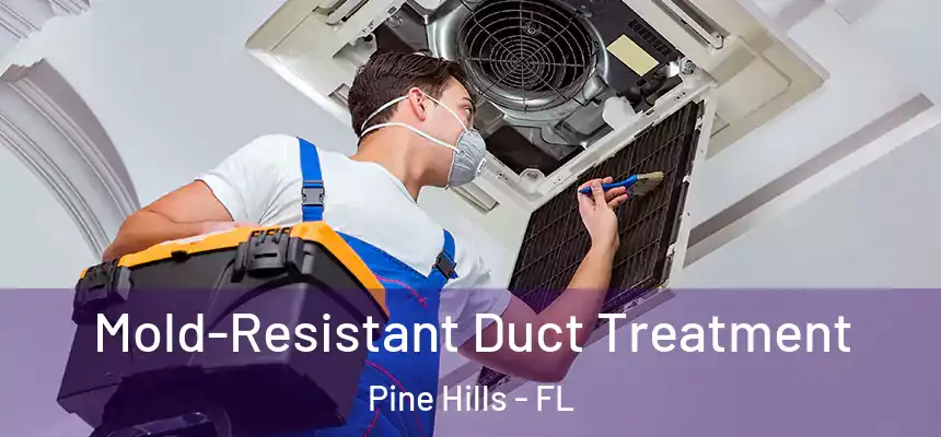 Mold-Resistant Duct Treatment Pine Hills - FL