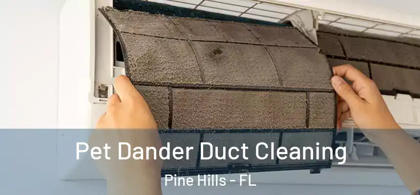  Pet Dander Duct Cleaning Pine Hills - FL