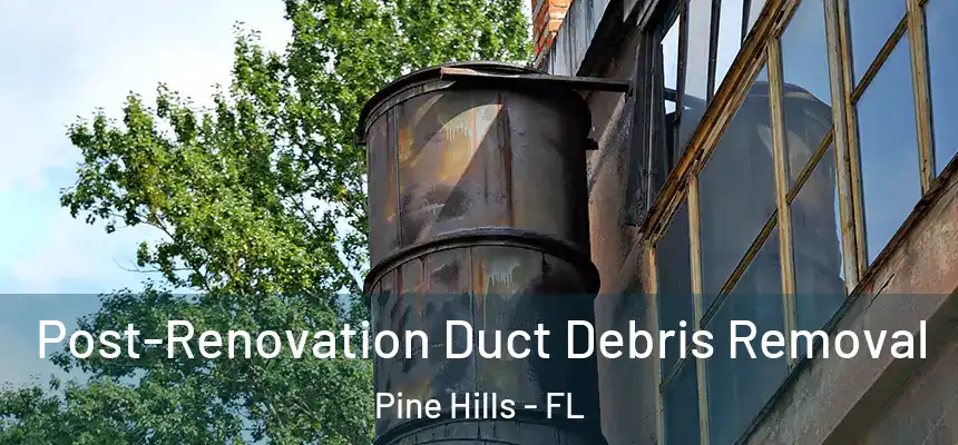 Post-Renovation Duct Debris Removal Pine Hills - FL