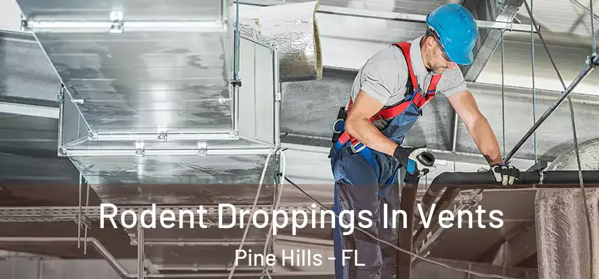 Rodent Droppings In Vents Pine Hills - FL