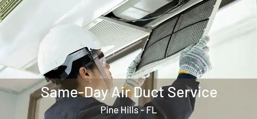 Same-Day Air Duct Service Pine Hills - FL