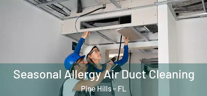 Seasonal Allergy Air Duct Cleaning Pine Hills - FL