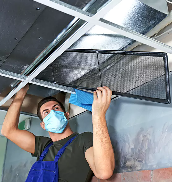 About Air Duct Bacteria Removal in Pine Hills