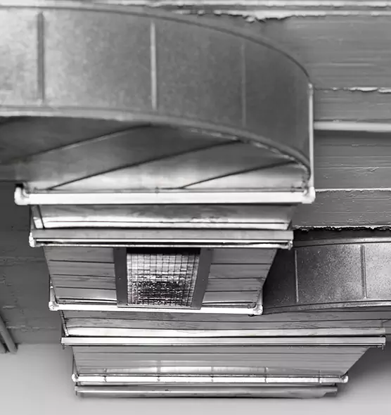 Professional Air Duct Pest Removal in Pine Hills, FL