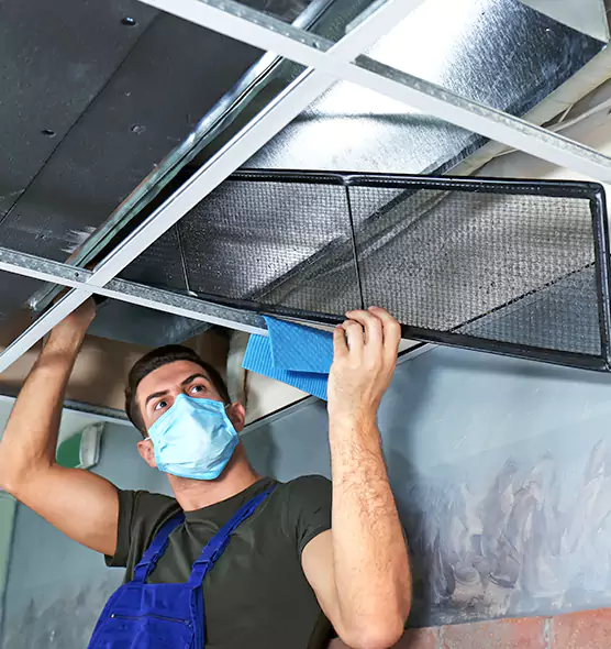 Professional Air Duct Pollen Cleaning in Pine Hills, FL