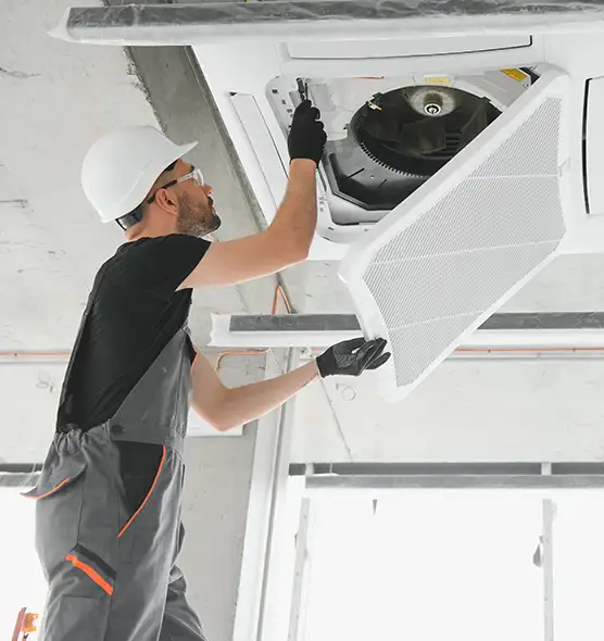 About Air Duct Rodent Removal in Pine Hills, FL