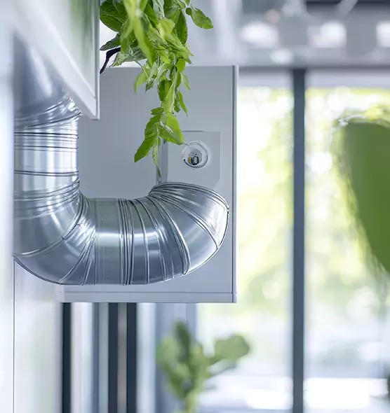 Professional Eco-Safe Dryer Vent Cleaning in Pine Hills, FL