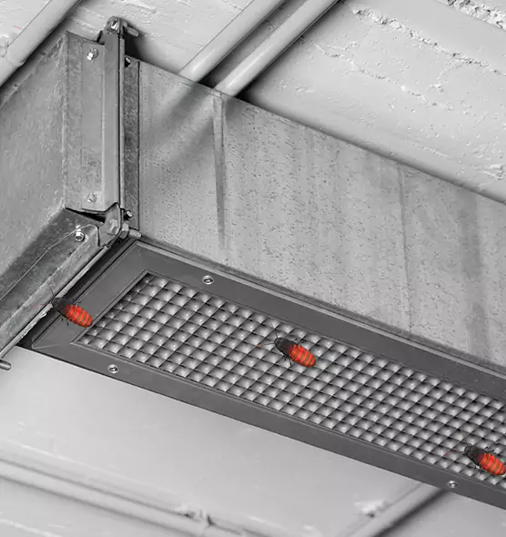 Affordable Insect Removal from Air Ducts in Pine Hills, FL