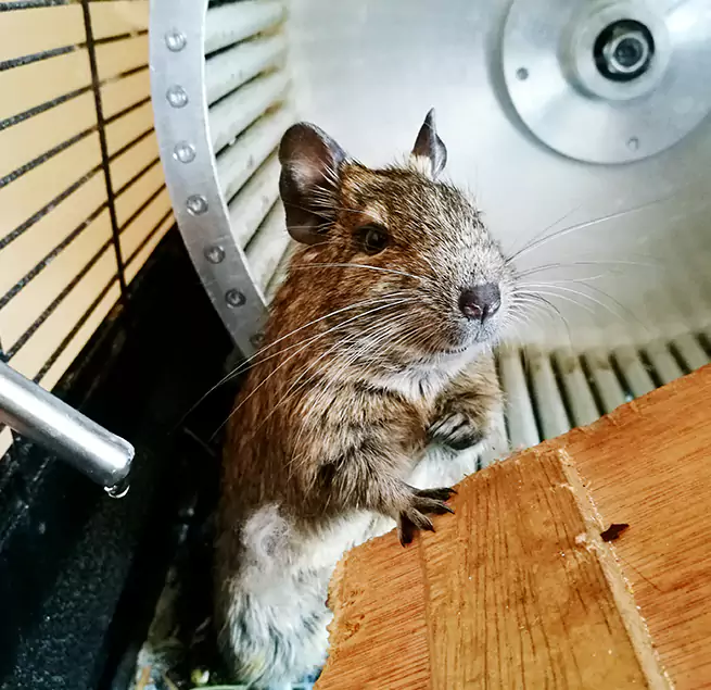 Why Homeowners & Businesses Trust Us Pine Hills, FL