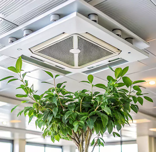 Why Homeowners & Businesses Trust Us in Pine Hills, FL?