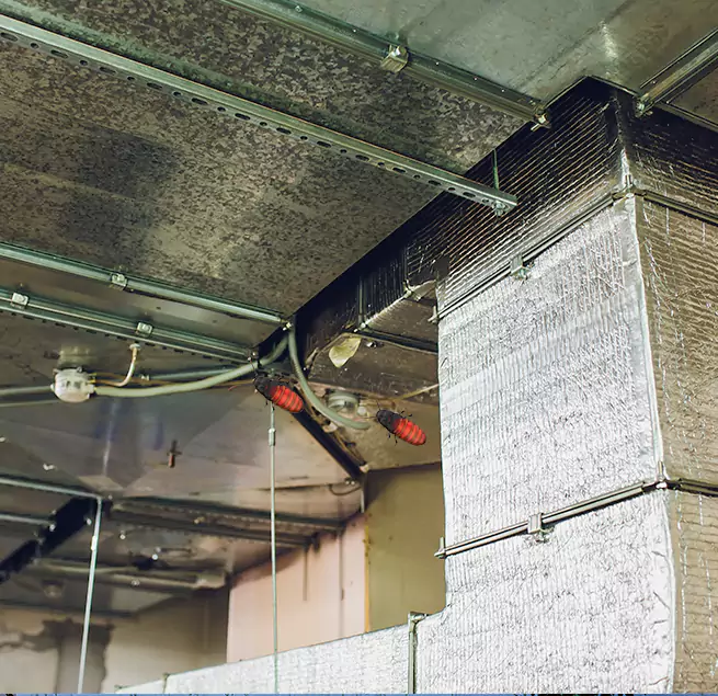 Why Homeowners & Businesses Trust Us Pine Hills, FL?